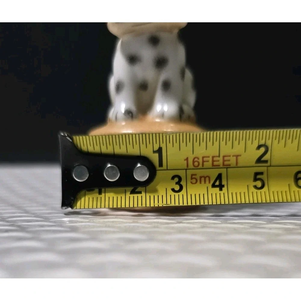 N/A this dalmatian